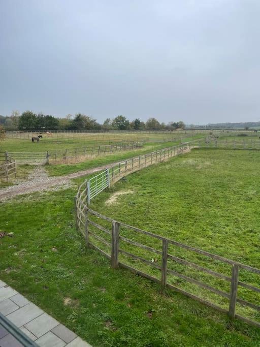 Falabella Suite With Amazing Views Of Stud Farm. Driffield Exterior foto